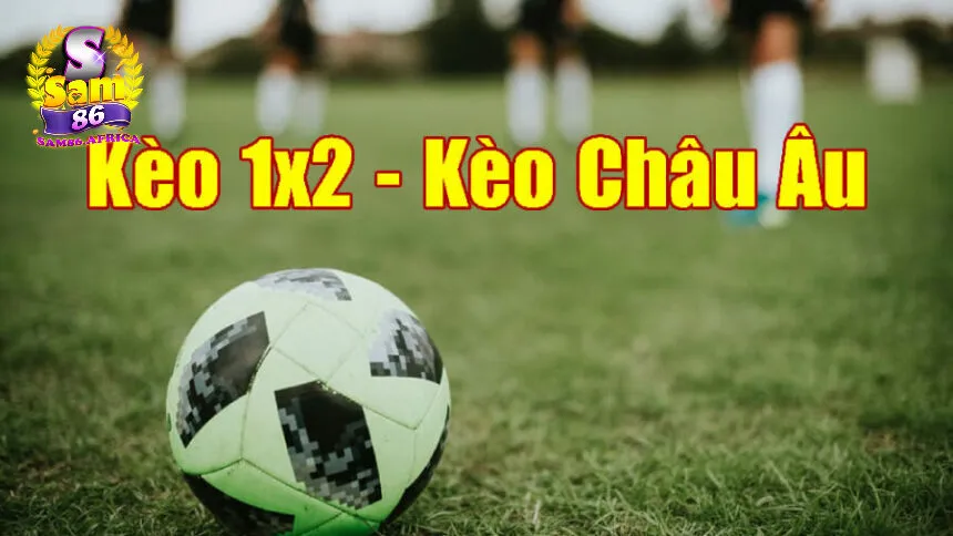 Tỷ lệ kèo bóng đá - Hiểu đúng để nâng cao cơ hội chiến thắng 3 Cách đọc tỷ lệ kèo bóng đá nhanh chóng cực hiệu quả